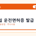 모바일 운전면허증 발급 발급 전 확인사항｜모바일·무인민원발급기·PDF 저장
