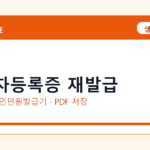 자동차등록증 재발급 발급 전 확인사항｜모바일·무인민원발급기·PDF 저장