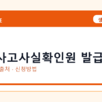 교통사고사실확인원 발급 온라인 조회·발급 총정리｜준비물·제출처·주의사항