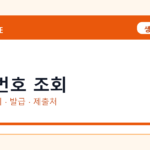 여권번호 조회 온라인 조회·발급 총정리｜준비물·제출처·주의사항