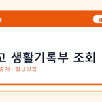 초중고 생활기록부 조회 온라인 조회·발급 총정리｜준비물·제출처·주의사항
